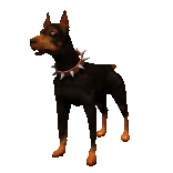 gif of a doberman going woof